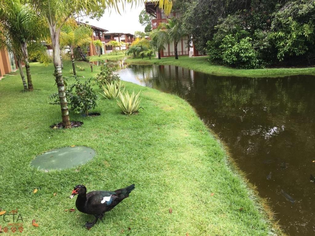 Villa Da Enseada, ปรายาโดฟอร์ชิ ภายนอก รูปภาพ