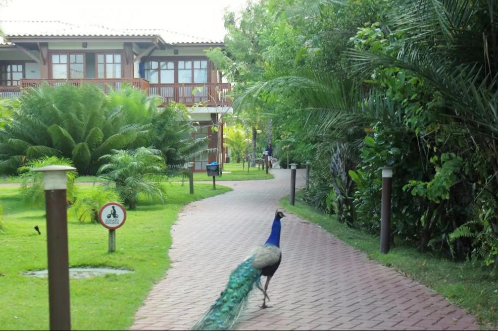 Villa Da Enseada, ปรายาโดฟอร์ชิ ภายนอก รูปภาพ