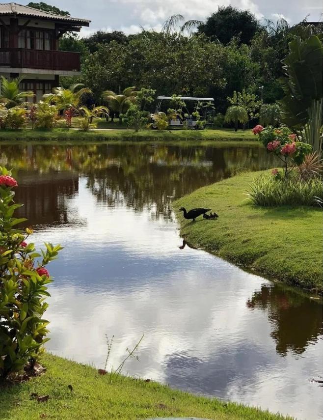 Villa Da Enseada, ปรายาโดฟอร์ชิ ภายนอก รูปภาพ